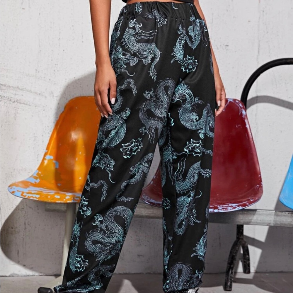 Windbreaker dragon pants